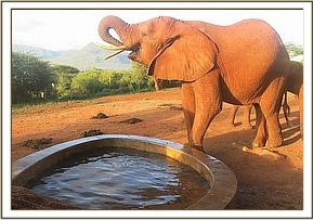 Emily drinking water