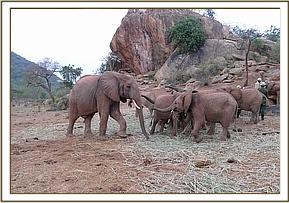 The orphans welcoming Tomboi