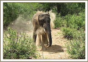 Yatta soil dusting