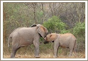 Sunyei shares a word with Chaimu