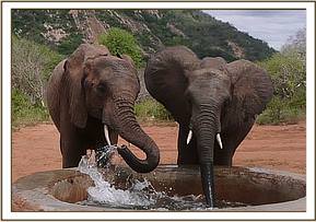 Wendi & Madiba having a drink