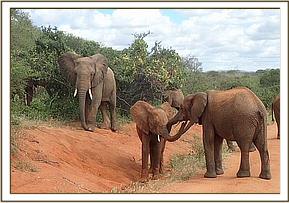 Turkwel greets Orwa