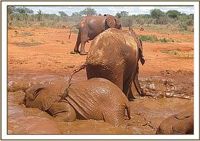 Sinya sitting on Taveta