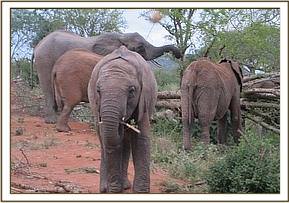 Wendi with the orphans