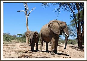 Mwende with her mother Mulika