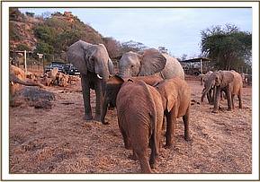 Lualeni and Sidai with the new arrivals