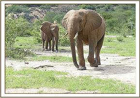 Sunyei and Taita