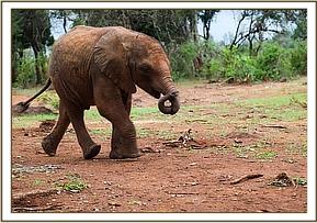 Enkesha managed to dodge Ndotto
