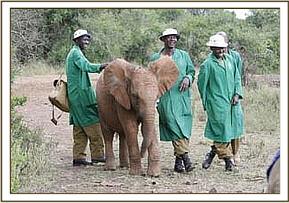 Lempaute in the midst of the keepers