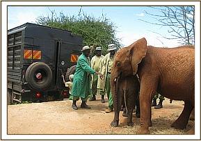 Dida is taken by Lesanju
