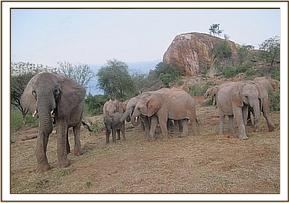 Mulika and Mwende with the orphans