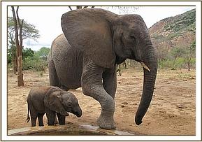 Mulika and Mwende having some water