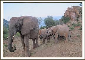 Mulika with the orphans