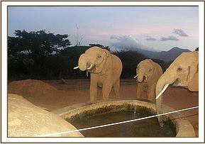 Lesanju, Layoni and Lempaute visit in the eve