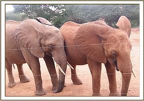 Sinya, left, comforting Kenia