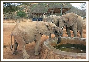 Madiba and Ishanga