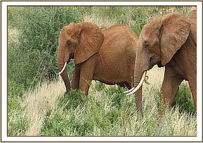 Emily & Lolokwe