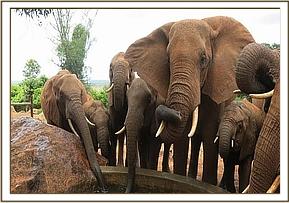 Laikipia enjoys time with the little ones