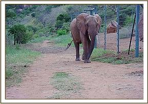 Emily arrives at the stockades