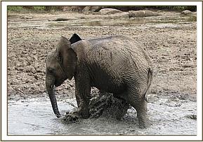 Lualeni playing in the water