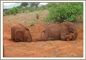 Wasessa and Lempaute playing
