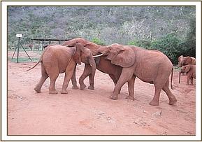 Mpala and Icholta corner Siria