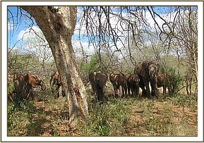 Wendi in the shade with the Junior group