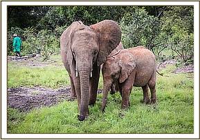 Mbegu with little Sattao