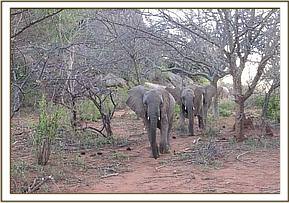 Sunyei leads her group