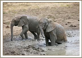 Lualeni bathing with Makireti