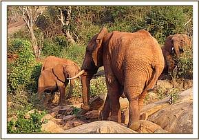 Laikipia on Msinga Hill