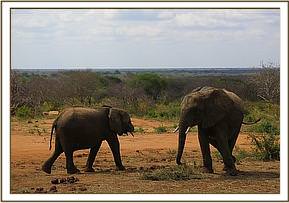 Ithumbah and Madiba