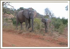 Galana and Mwende