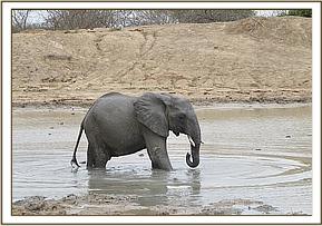 Tomboi in the water