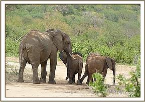 Taita with the new arrivals