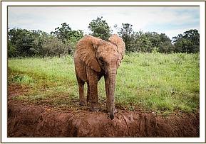 Kiasa is a naughty little girl!