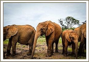 Mapia, Ndiwa in the middle and little Kiasa