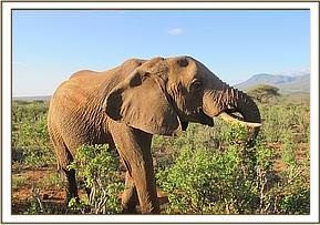 Laikipia