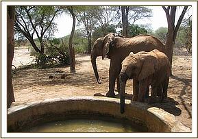 Sunyei & Kandecha