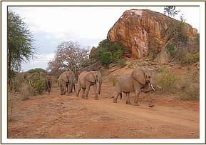 Yatta leading her group