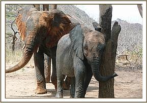Sunyei & Kitirua