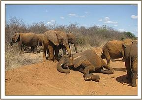 Sunyei playing as she is watched by juniors