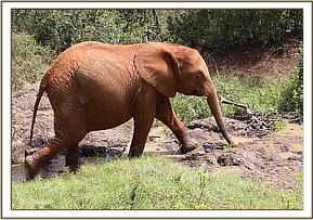 Arruba sneaks off