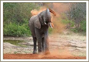 Yatta soil dusting