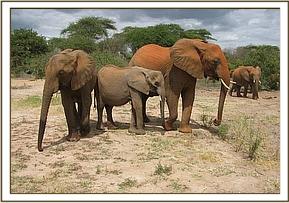 Sunyei, Sian, & Yatta