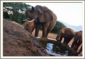 Laikipia embracing Layoni