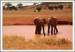 Laikipia with a wild boy