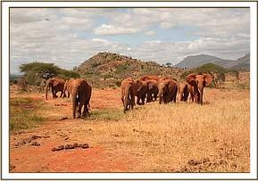 Emily leading her group for a drink