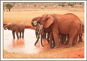 Emily and her group having a drink