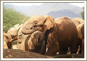 Lesanju embracing Ndoria